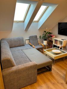Apartament_Zbąszyń的电视和/或娱乐中心