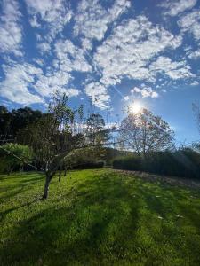 a tree in a field with the sun in the sky at Pousada Doce Vida in Urubici +6 photos