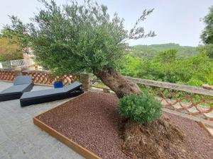 Gallery image of Chambre de l Olivier in Taradeau +4 photos