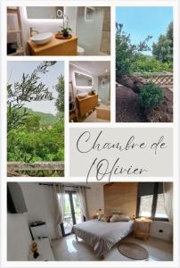 Fotografie z fotogalerie ubytování Chambre de l Olivier v destinaci Taradeau