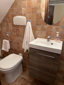 a bathroom with a toilet and a sink and a mirror at La casetta - Casa vacanze in Montenero Val Cocchiara