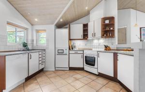 Η κουζίνα ή μικρή κουζίνα στο Gorgeous Home In Henne With Kitchen