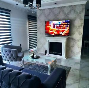 TV a/nebo společenská místnost v ubytování Vila Grof
