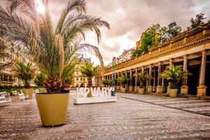 Giardino di Hotel Praga