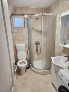 a bathroom with a shower with a toilet and a sink at Apartment Tamara in Tivat +13 photos