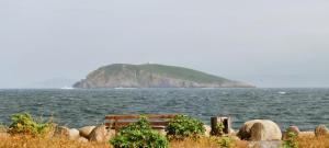 BaresにあるLa casa de Claudiaの水の中の島の前のベンチ