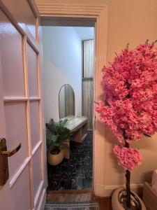 a hallway with a room with a mirror and a tree at Downtown view studios in Cairo +66 photos