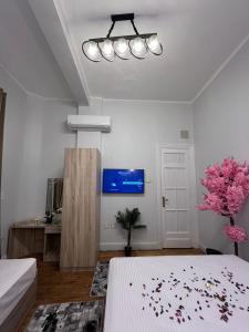 TV a/nebo společenská místnost v ubytování Downtown view studios + 37 fotografií