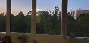 two windows in a room with a view of trees at Le Skyline - 3 Chambres Indépendantes, lits doubles in Nantes