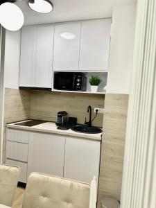 A kitchen or kitchenette at AS Divcibare