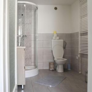 a bathroom with a toilet and a shower and a sink at Róza Vendégházak- Tényő in Tényő