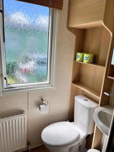 a small bathroom with a toilet and a window at Van number 123 Beautiful Caravan sleeps 4 to 6 in Aberystwyth