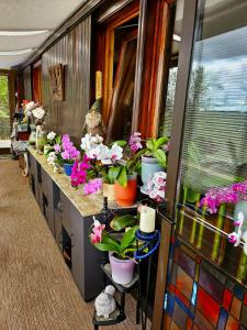 Fotografie z fotogalerie ubytování Chalet Perle des Hauts v destinaci Gérardmer