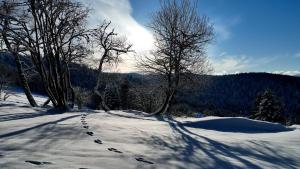 Příroda nedaleko bed and breakfast