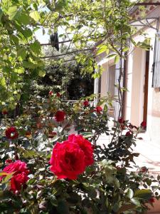 Fotografie z fotogalerie ubytování villa des argiles v destinaci Mormoiron