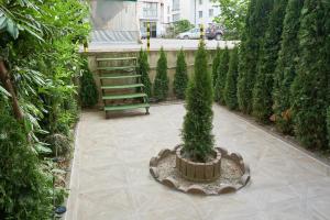 a small tree in a planter on a patio at Apartman Lili Centar in Ohrid