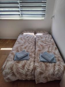 Postel nebo postele na pokoji v ubytování Sunflower Apartments