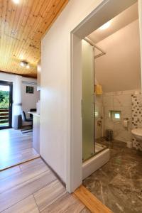 a bathroom with a shower and a toilet in a room at Apartment & Rooms Luketic in Rastovača