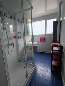 a bathroom with a shower and a sink at Chambres COSY PARIS CENTRE au Pied du metro in Paris