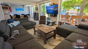 A television and/or entertainment centre at Arode Villa Dionysus
