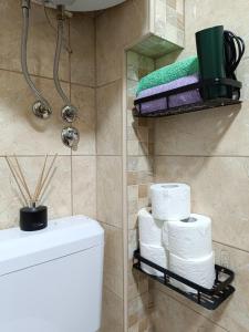 a bathroom with a toilet and towels on a shelf at Apartman D in Višegrad +12 photos