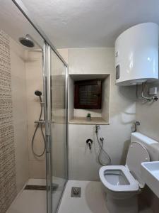 a bathroom with a shower and a toilet and a sink at Apartment Novigrad in Novigrad Istria +19 photos
