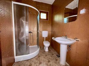 a bathroom with a shower and a sink and a toilet at Sunny Terraces in Cetinje