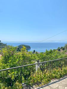 a view of the ocean from a balcony at Betsanis Stafylos Apartments in Stafylos