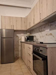 Kuchyň nebo kuchyňský kout v ubytování Alana apartment