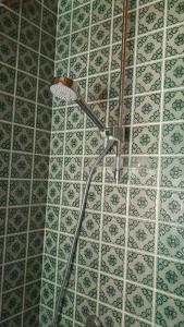 a shower head in a bathroom with green and white tiles at Apartment Lilla in Millstatt +6 photos