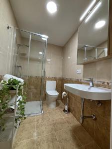 a bathroom with a sink and a toilet and a shower at Alesamar A in Burela de Cabo +24 photos