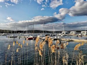 a marina with boats in the water with tall grass at Zauberwagen am Geiseltalsee in Stöbnitz