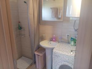 ein kleines Badezimmer mit Waschbecken und Dusche in der Unterkunft Apartment Pivljanka in Plužine