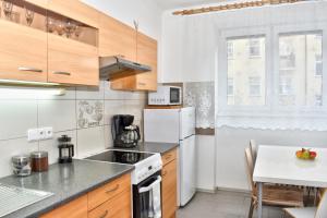 een keuken met houten kasten en een aanrecht bij City Apartment in Karlsbad