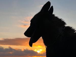 Východ nebo západ slunce při pohledu z ubytování v soukromí nebo okolí