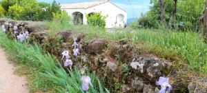 Zahrada ubytování le Chausse à Brès chambre d'hôtes 1