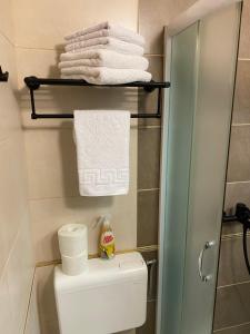 a bathroom with a toilet with towels and a shower at Adzic Apartments in Budva