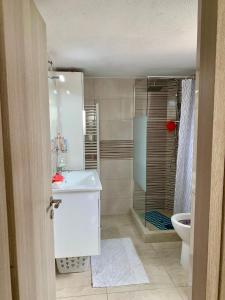 a bathroom with a shower and a sink and a toilet at Sofia's Seaview Villa Near Airport And Beach in Artemida +63 photos
