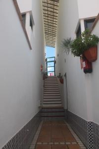 サンミゲル・デ・アボナにあるCasa San Miguelの階段と鉢植えの廊下