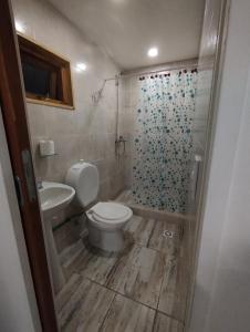 y baño con aseo y ducha. en Casa cronopio en Ushuaia