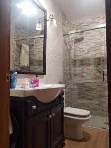 a bathroom with a sink and a toilet and a shower at "Entre el mar y la calma" in Somo
