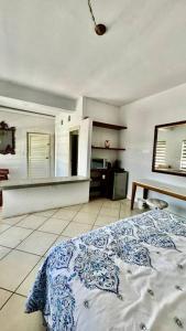 een slaapkamer met een bed met een blauw-witte deken bij Comodo apt Cerca del Malecon 5 min caminando in La Paz