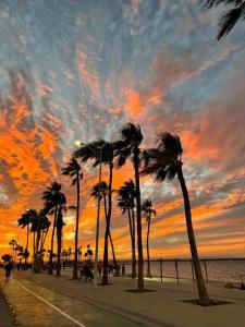 een groep palmbomen op een strand bij zonsondergang bij Comodo apt Cerca del Malecon 5 min caminando in La Paz