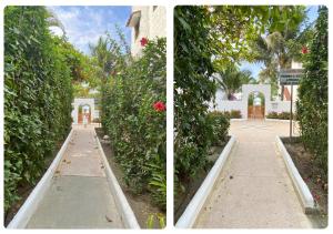Zahrada ubytování Hermosa casa frente a la playa
