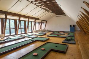 a large room with green mats on the floor at Centrum Turystyki Niekonwencjonalnej in Srebrna Góra