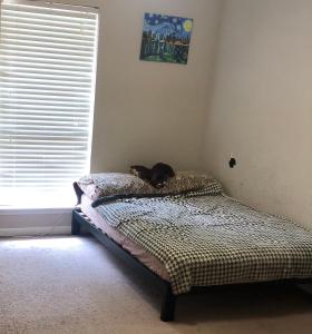 a cat laying on a bed in a bedroom at Pond view House in Snellville