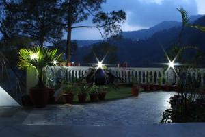 博瓦利The Blessings的坐在植物庭院椅子上的人