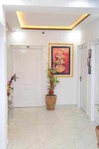 un couloir avec une plante et une peinture sur le mur dans l'établissement Moven Inn Hotel Islamabad, à Islamabad