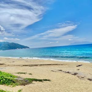 a sandy beach with the ocean in the background at Marine Blue Yakushima in Yakushima