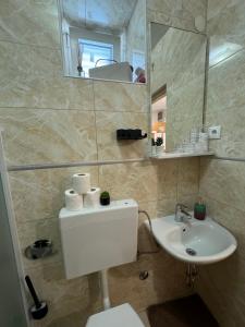 a bathroom with a sink and a toilet and a mirror at Apartmani Luciano in Novalja